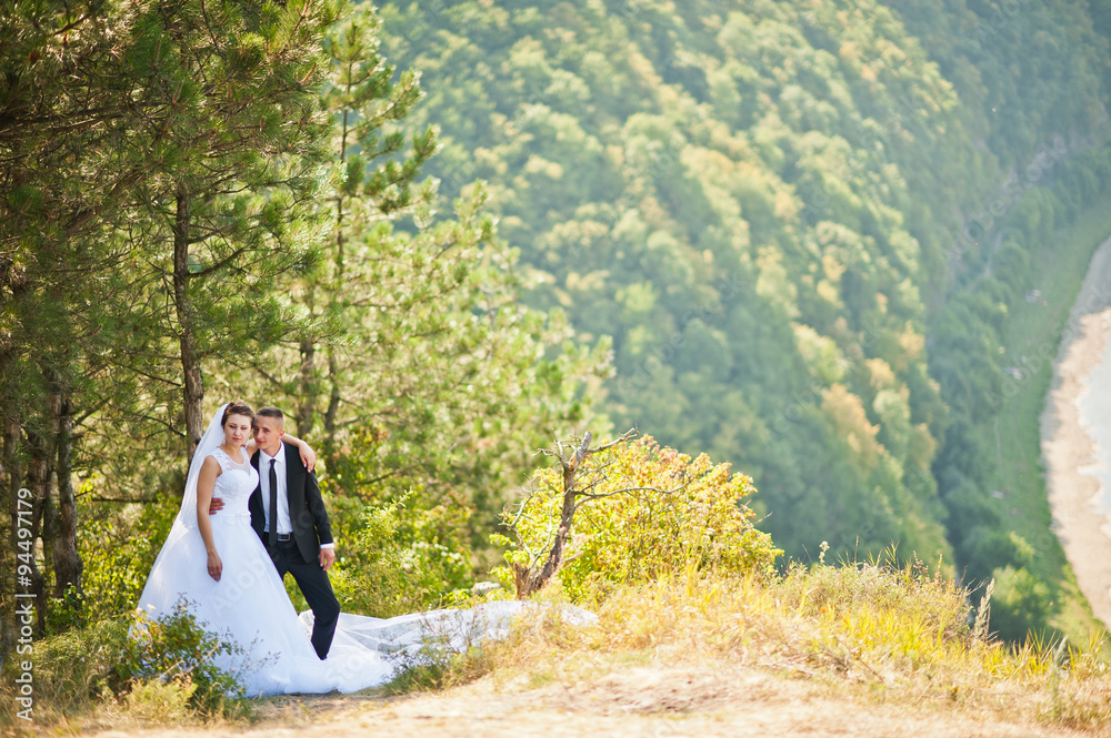 wedding couple on panorama of city and river. bride with long ve wedding couple on panorama of city and river. bride with long ve