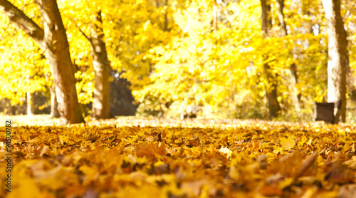 Tableau sur toile Herbst