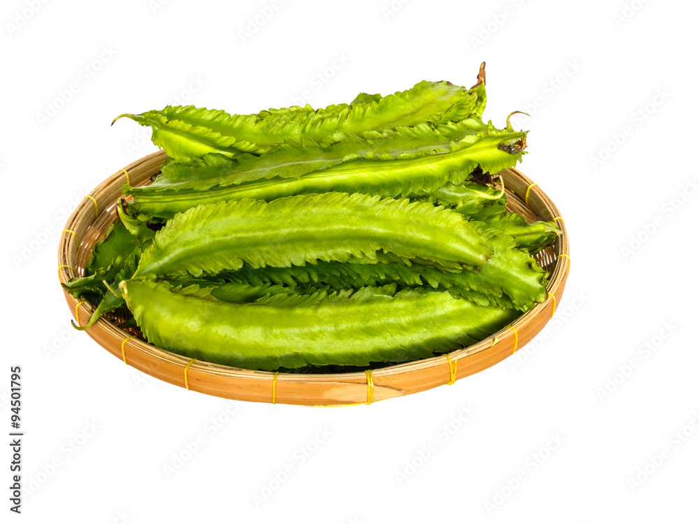 winged bean on white background with clippingpath winged bean on white background with clippingpath