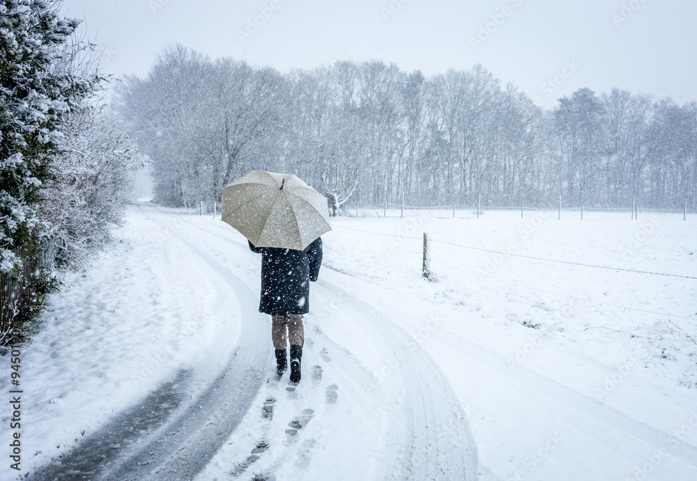 Fototapeta premium Spaziergang im Schnee