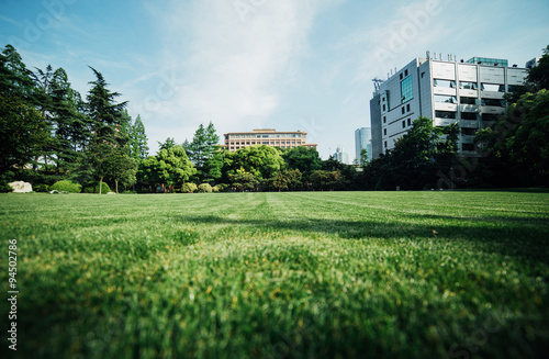 Meadow in city park