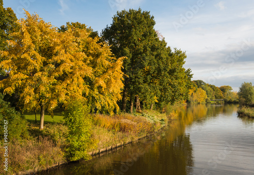 Golden trees at the river banks in autumn