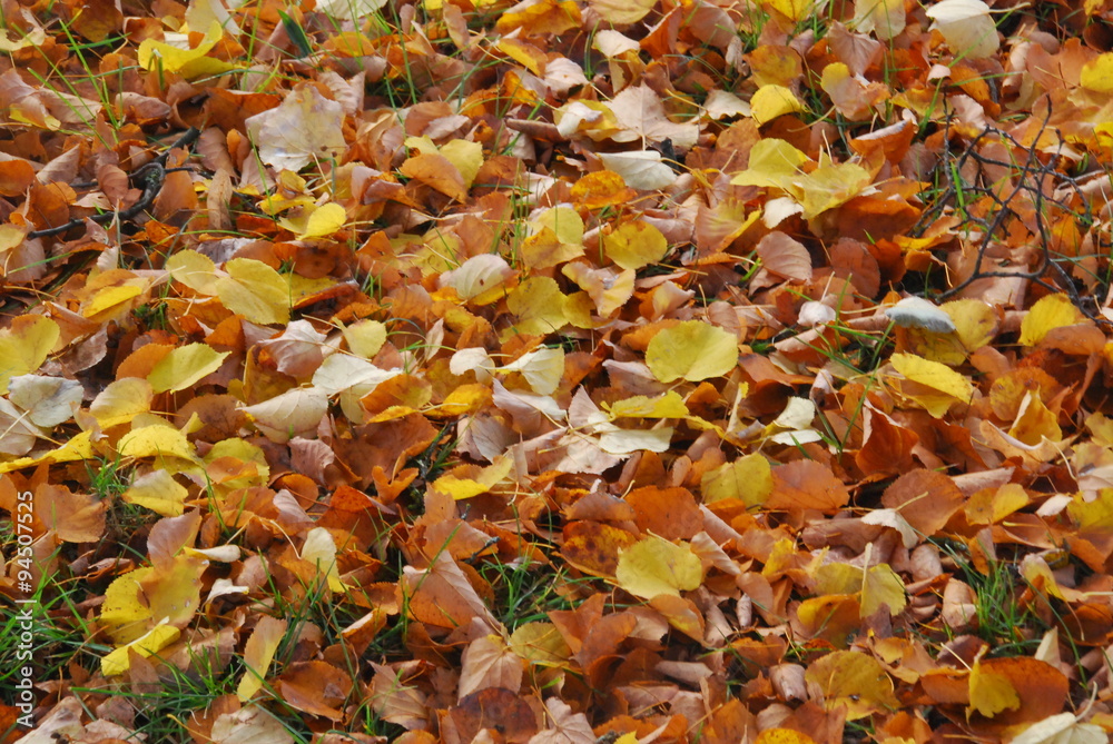 Herbst-Blätter Herbst-Blätter