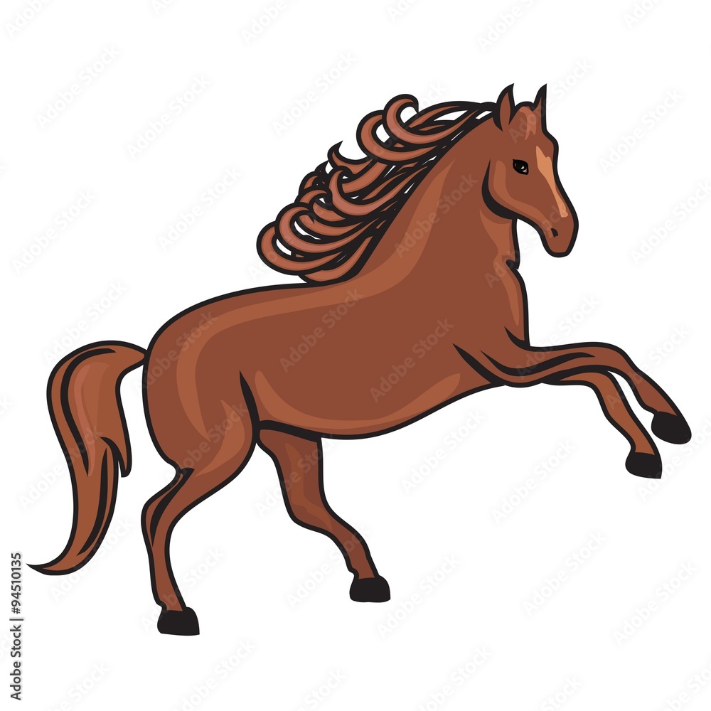 horse horse