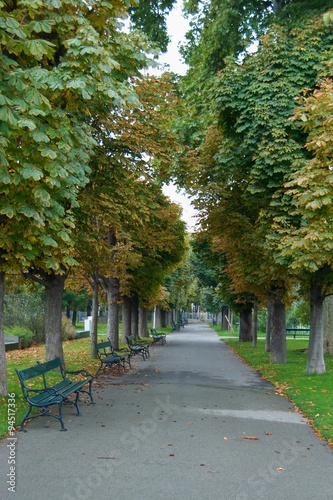 Fototapeta Naklejka Na Ścianę i Meble -  Lonely autumn walk in the park