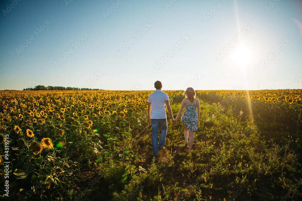 Romantic couple  go and holding hands on background summer meadow sunflower sunset