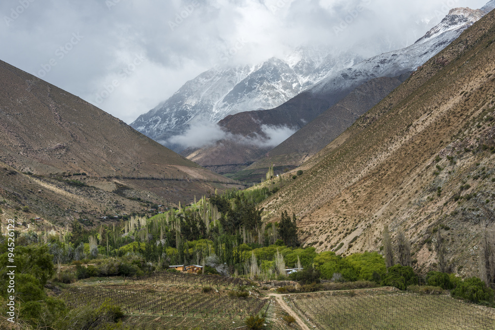 Vineyards of the Elqui Valley, Andes part of Atacama Desert