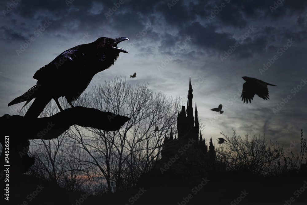 Fototapeta premium crow, dawn, castle