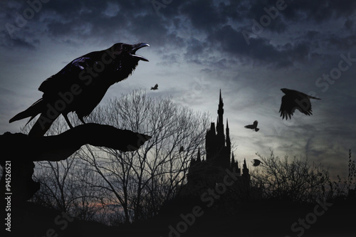 crow, dawn, castle