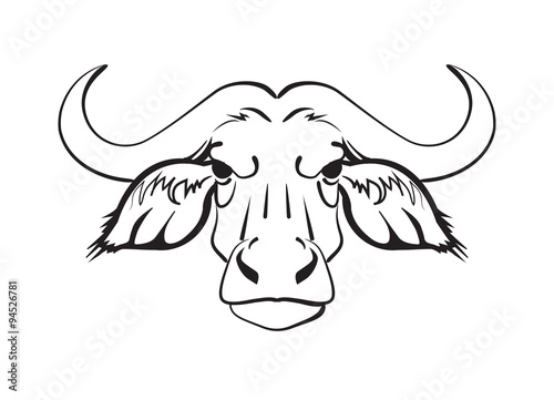 head of the African buffalo, stylized image