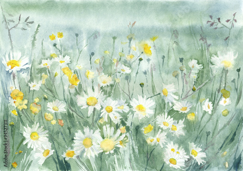 Fototapeta Naklejka Na Ścianę i Meble -  Watercolor background. Landscape with flowers: daisies and grass.