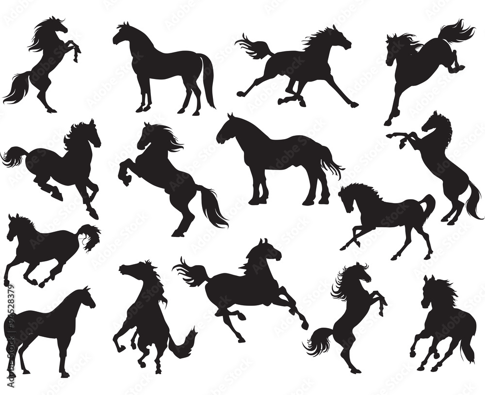 Silhouettes of horses (vector horses clipart ) Stock Vector Adobe Stock