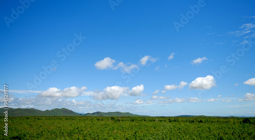 beautiful landscape on mountain with blue sky and cloud