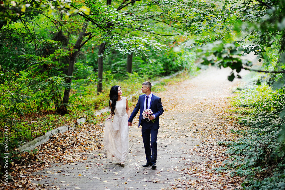 Fototapeta premium the bride and groom go hand against a background of green trees