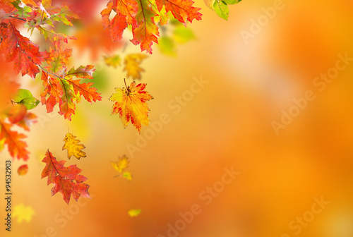 Colorful autumnal backgroun...