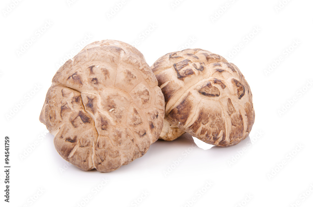 Shiitake mushroom on the White background Shiitake mushroom on the White background