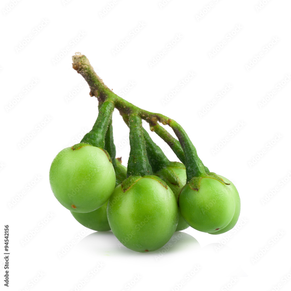 turkey berry isolated in white background turkey berry isolated in white background