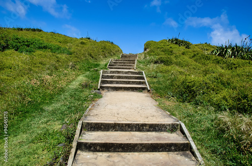 Pathway at the Muriwai Regional Park  New Zealand