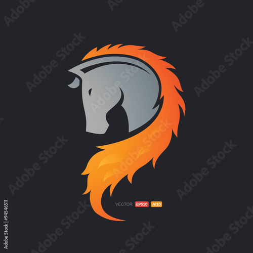 Fire Horse Hair
