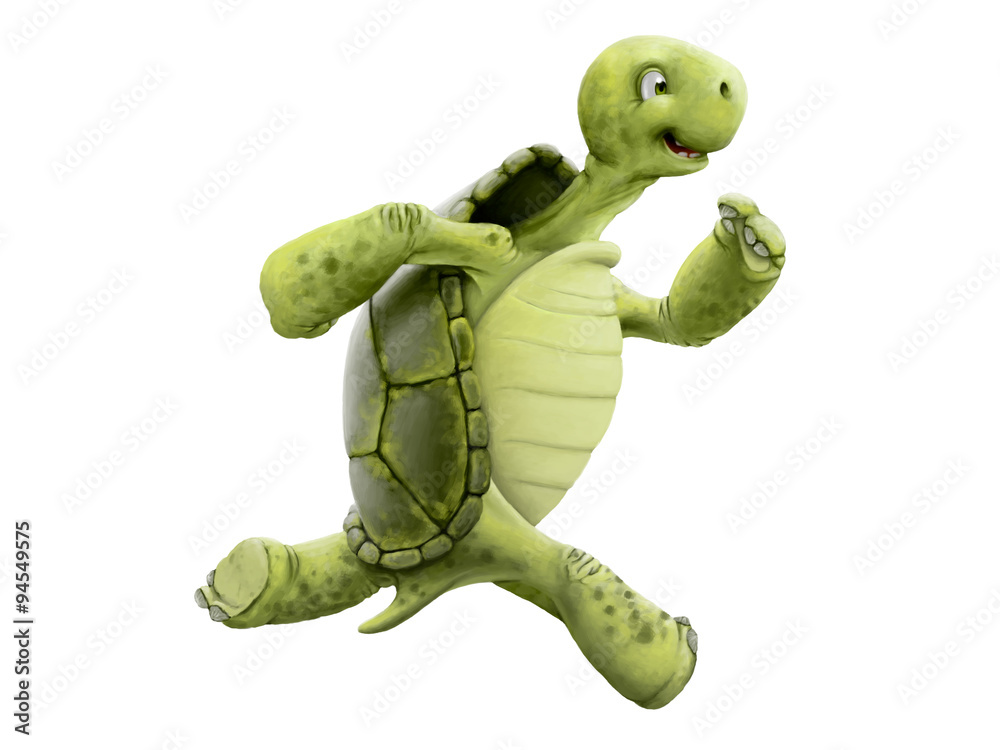 Obraz premium Turtle