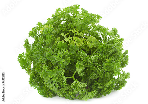 Curly parsley bunch