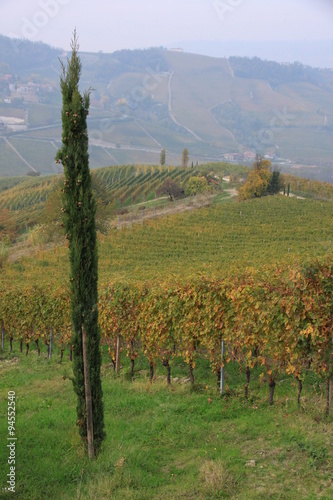 Passeggiata autunnale nelle Langhe, Piemonte photo