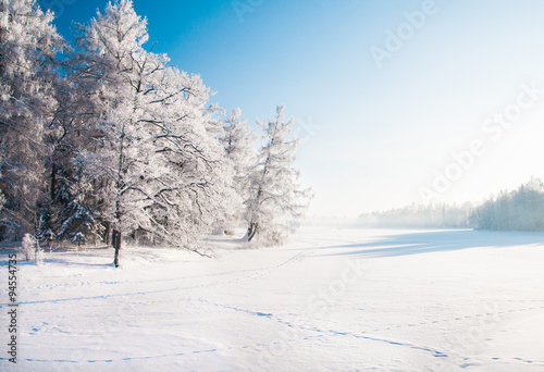 Winter park in snow