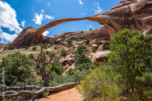 Slika na platnu Landscape Arch in Arches National Park, Utah, USA