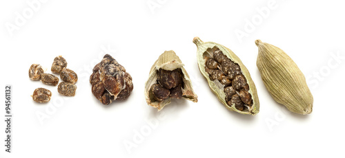 Macro Closeup of pod to seeds of Organic Green or True Cardamom (Elettaria cardamomum) isolated on white background.