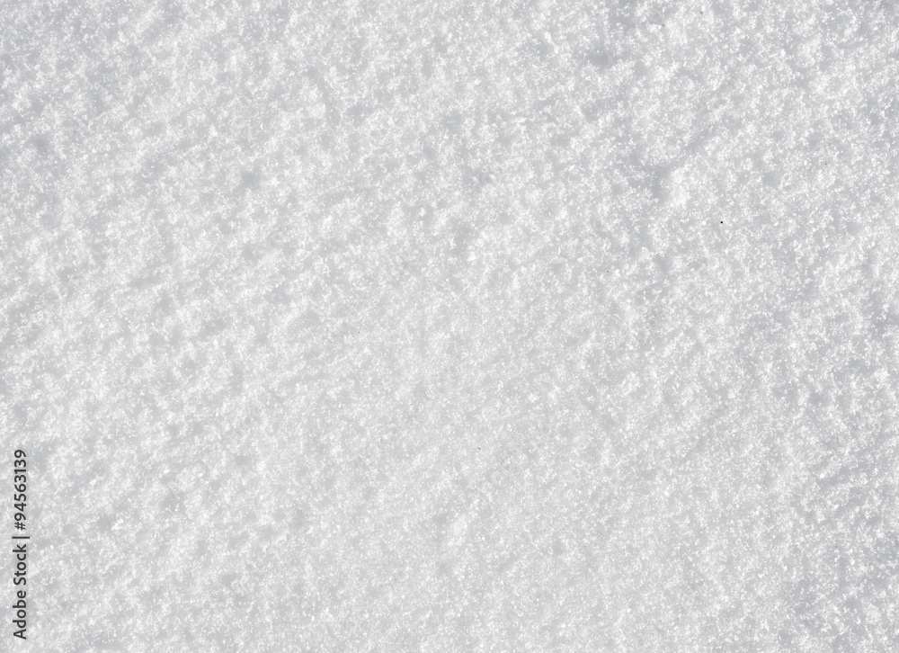 Fototapeta premium fresh snow