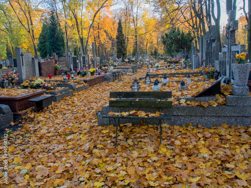 Tapety artystyczne cemetery