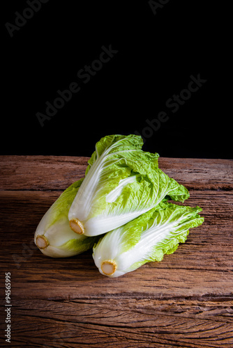 Fresh Chinese Cabbage photo