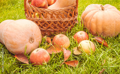 Красивые осенние тыквы и яркие яблоки