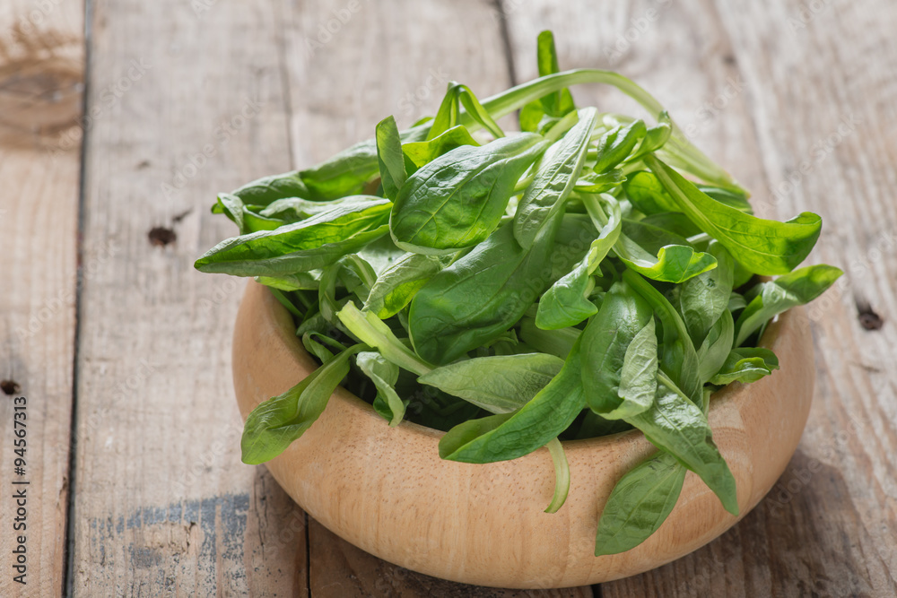 Mache Lettuce, corn salad, lambs lettuce on wood bowl. Mache Lettuce, corn salad, lambs lettuce on wood bowl.