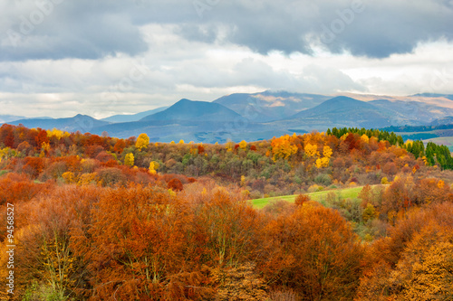 autumn landscape. forest in the mountains covered with red and yellow foliage under heavy clouds