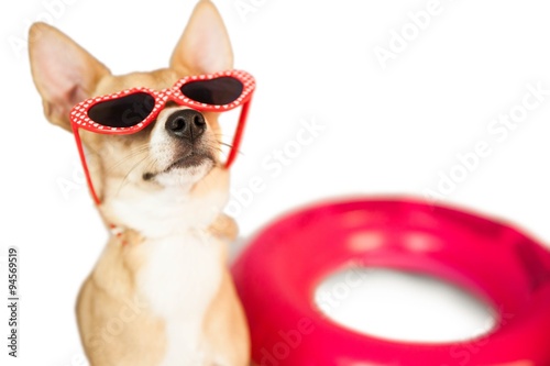 Fototapeta Naklejka Na Ścianę i Meble -  Cute dog with heart sunglasses