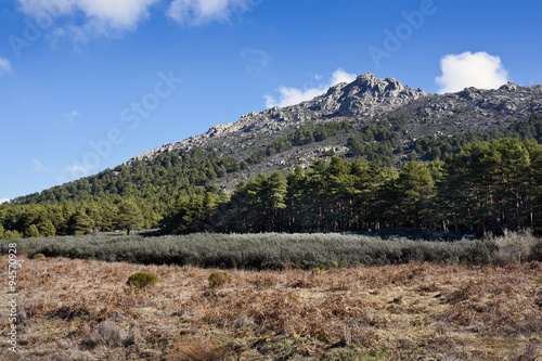 Cabeza Arcon. Valdemanco. Madrid