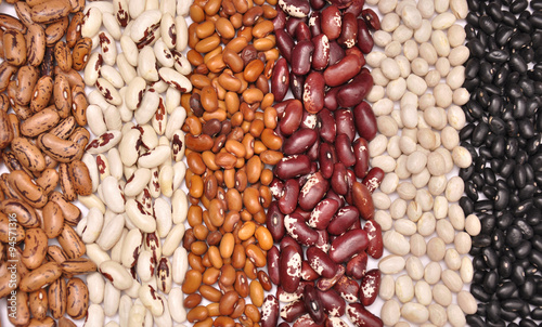 Beans - different varieties