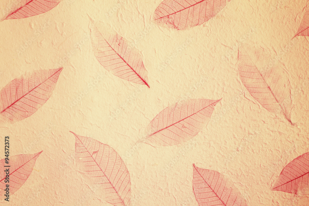 Paper Texture Background from mulberry paper Paper Texture Background from mulberry paper