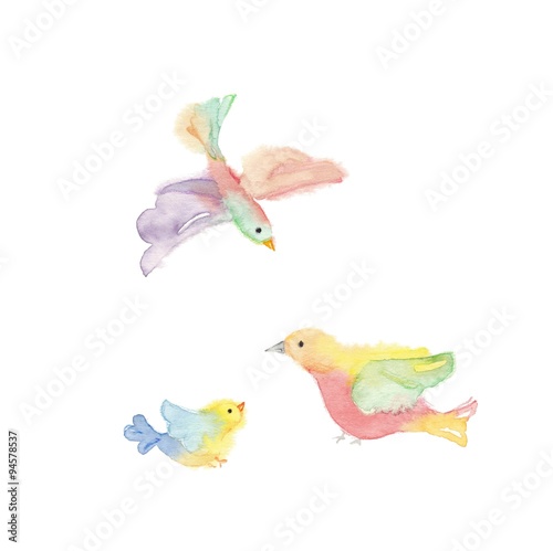 パステルカラーの鳥
