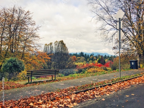Autumn in Vancouver