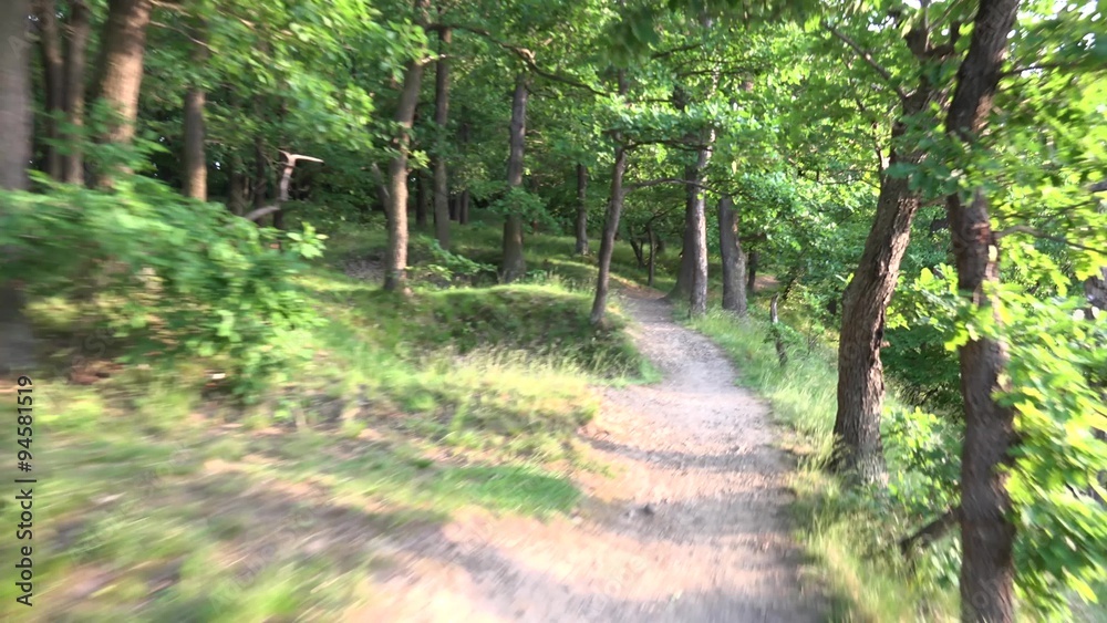 running in the forest - escape - steadicam
