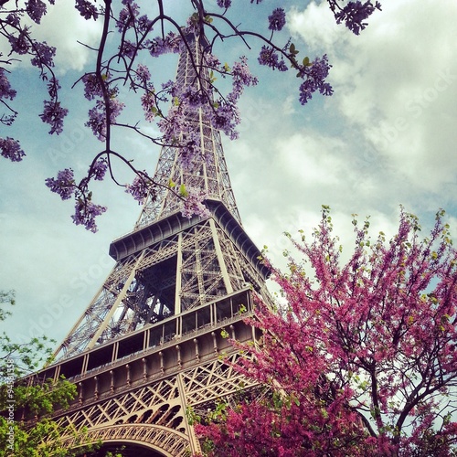 Canvas Print Colorful flowers around Tour Eiffel in the spring