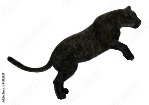 Big Cat Black Panther © photosvac