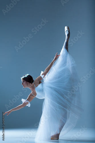 Εκτύπωση καμβά Portrait of the ballerina on blue background