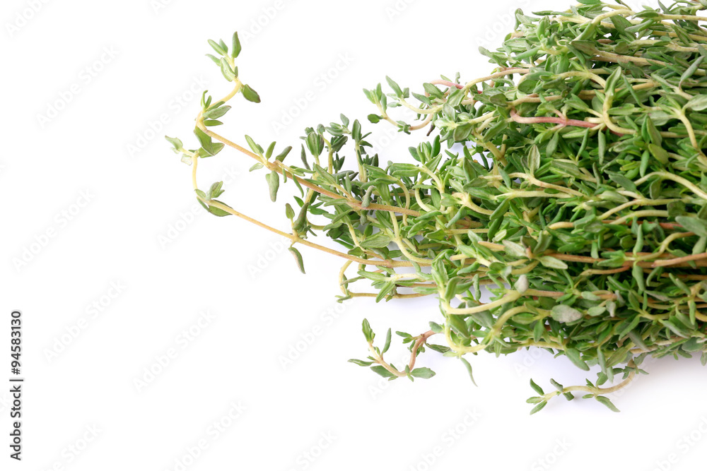thyme isolated on white background chabrets thyme isolated on white background chabrets
