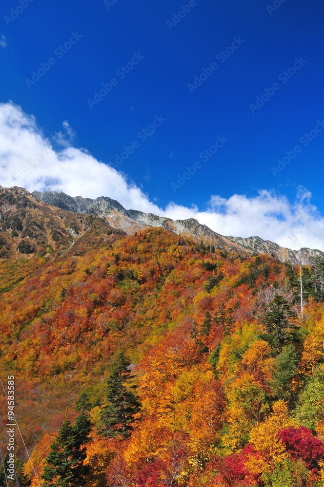 秋の立山黒部アルペンルート
