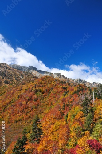 秋の立山黒部アルペンルート 
