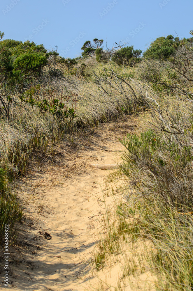 Robberg, Robberg Peninsula, Robberg Nature Reserve -  Sudafrica 