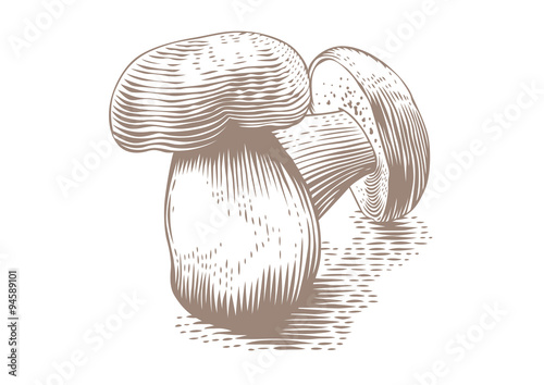 Mushrooms